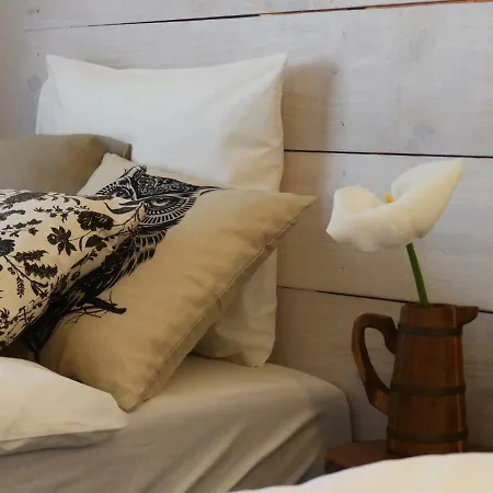 Porto Beach Hostel *