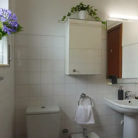 Hostel Porto Beach Árvore