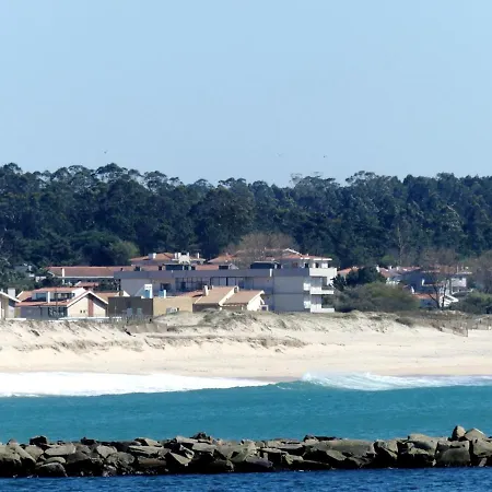 Porto Beach * Árvore