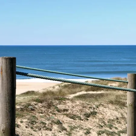 Porto Beach * Árvore