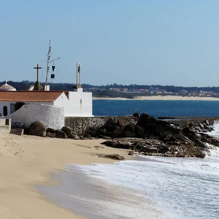 Porto Beach * Árvore